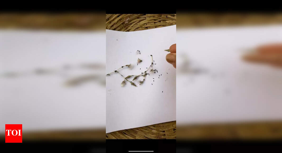 मूळ प्रजातींना आधार देण्यासाठी, वनस्पतींचे विविधता जपण्यासाठी रहिवासी बियाण्यांवर बँक