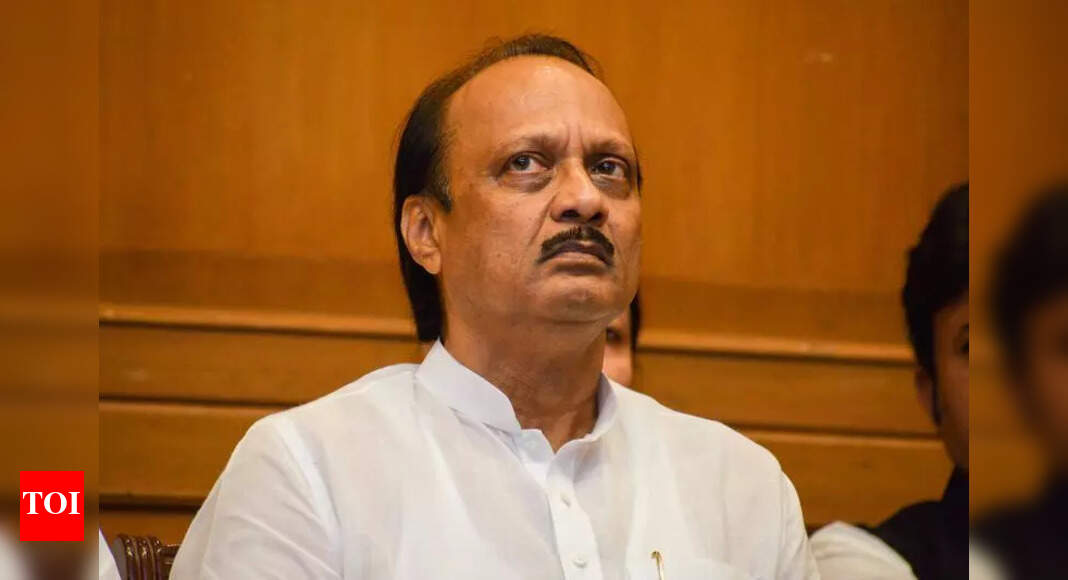 जेव्हा भिन्न राजकीय पक्ष एकत्र काम करतात, तेव्हा मतभेद असू शकतात: शाळांमध्ये अनिवार्य हिंदीवरील वादावर डीवाय सीएम अजित पवार