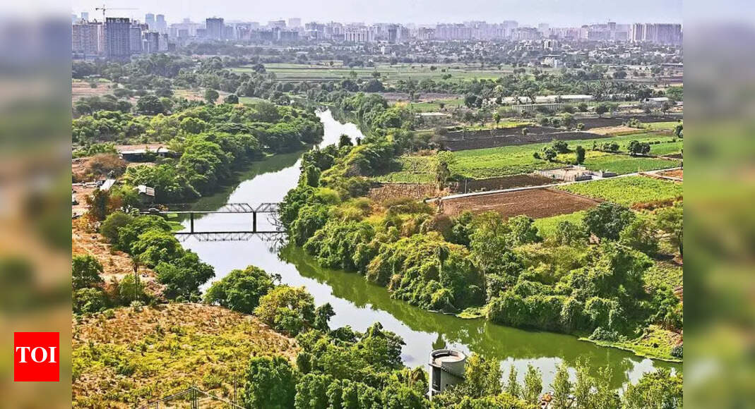 पीसीएमसीला पवाना नदीच्या कायाकल्प प्रकल्पासाठी सेयाकडून पर्यावरण मंजुरी मिळते