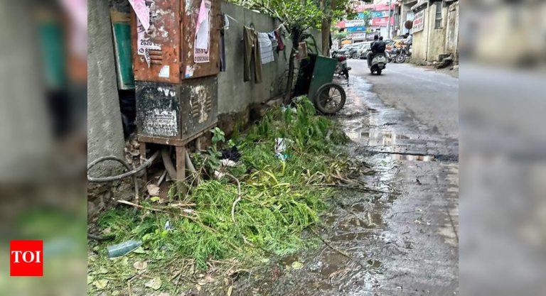 पुणे त्याच्या वाढत्या बाग कचरा छाटणी करणे आवश्यक आहे