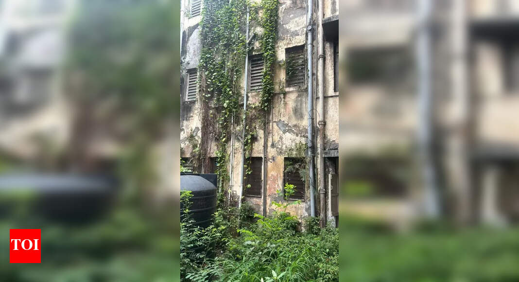 पुनर्विकास प्रकल्पांची देखरेख करण्यासाठी महाला लवकरच स्वतंत्र अधिकार मिळू शकेल