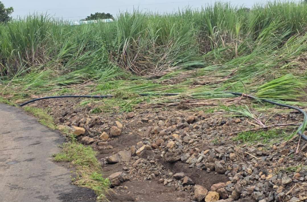 ओला दुष्काळ जाहीर करून संपूर्ण कर्जमाफी करावी रयत शेतकरी संघटनेची मागणी 