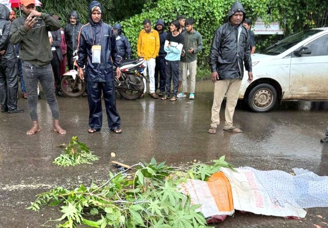 वाघोलीत गंभीर अपघात महिलेचा मृत्यू वाहतूक पोलिसांचा हलगर्जीपणा 