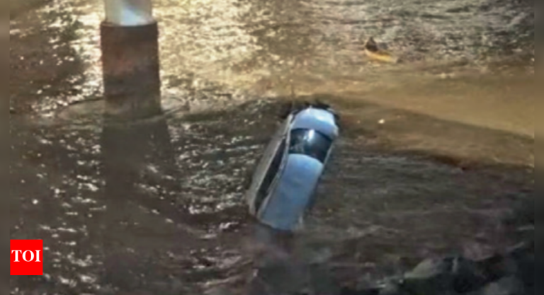 मुंबई: मद्यधुंद वाहन चालविणे, माणूस समुद्रात बुडतो; एमएसएफ जवानांनी वाचवले