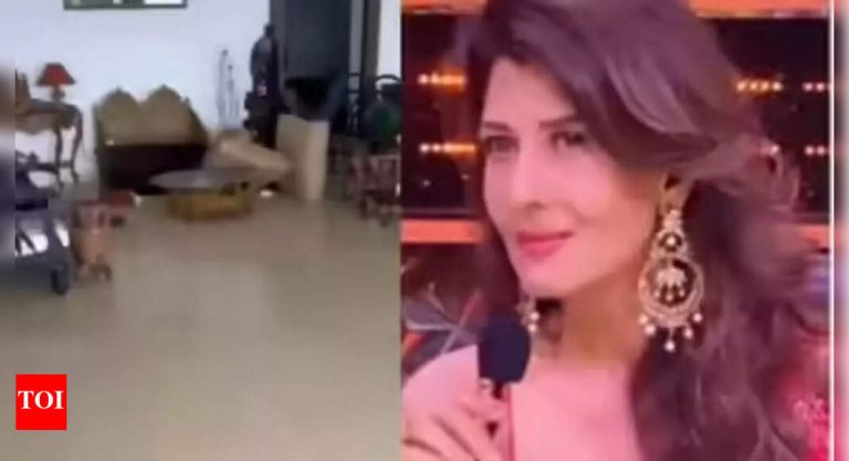 ‘मला बंदुक परवाना आवश्यक आहे’: पुणे फार्महाऊस चोरीनंतर अभिनेता संगीता बिजलानी असुरक्षित वाटतात; वेगवान चौकशीचे आवाहन