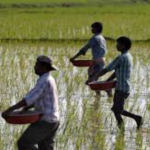 Pune पूर: शेतकऱ्यांच्या मोबदल्यात दिरंगाई झाल्याची कबुली कृषीमंत्री दत्ता भरणे; विरोधी निषेध