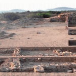 ‘कांस्ययुगातील व्यापाऱ्यांना लक्झरी थांबे होते’: हडप्पा लोकांनी 4,000 वर्षांपूर्वी गुजरातमध्ये भारतातील पहिल्या रस्त्याच्या कडेला सराय बांधले; कोटाडा भादली साइटने संघटित व्यापार पायाभूत माहिती उघड केली