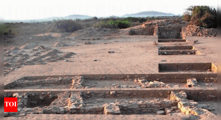 ‘कांस्ययुगातील व्यापाऱ्यांना लक्झरी थांबे होते’: हडप्पा लोकांनी 4,000 वर्षांपूर्वी गुजरातमध्ये भारतातील पहिल्या रस्त्याच्या कडेला सराय बांधले; कोटाडा भादली साइटने संघटित व्यापार पायाभूत माहिती उघड केली