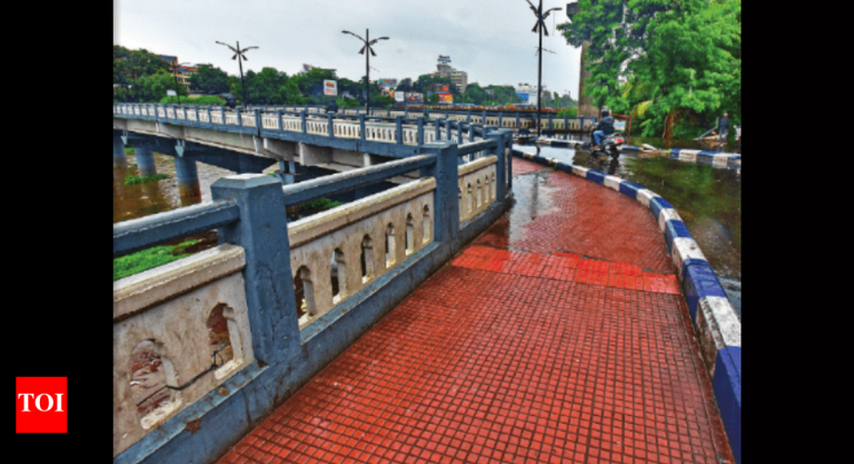 पीएमसीच्या मर्यादेतील १७ इमारतींमधील पूल, अंडरपास आणि उड्डाणपूल दुरुस्तीसाठी