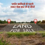 पूर्व हवेलीत कुलमुखत्यारपत्राच्या नावाखाली प्लॉटिंग व्यवसायिकाकडून घातला जात आहे लाखोचा गंडा