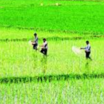 धरणातील पाणीसाठा शहरांकडे वळवण्यात आल्याने जलसंकट अधिक गंभीर होण्याचा इशारा शेतकरी देतात