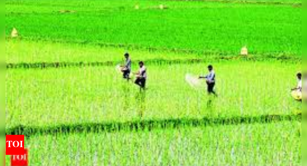 धरणातील पाणीसाठा शहरांकडे वळवण्यात आल्याने जलसंकट अधिक गंभीर होण्याचा इशारा शेतकरी देतात