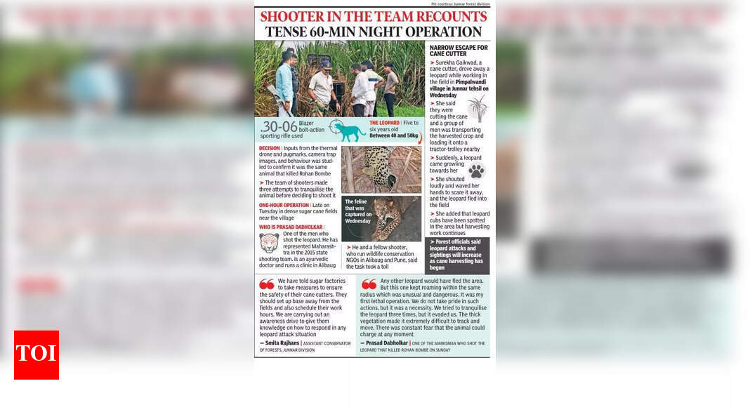 शिरूर गावात रविवारी तरुणाचा गोळ्या झाडून खून करणाऱ्या बिबट्याला ठार केले