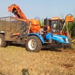 वढू बुद्रुक मध्ये हार्वेस्टर द्वारे ऊस तोडणी सुरू 