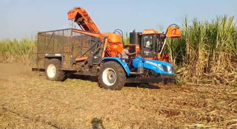 वढू बुद्रुक मध्ये हार्वेस्टर द्वारे ऊस तोडणी सुरू 