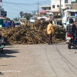 ब्रेकिंग…! वढू बुद्रुक कोरेगाव भीमा रस्त्यावर जीवघेणी ऊस वाहतूक 