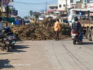 ब्रेकिंग…! वढू बुद्रुक कोरेगाव भीमा रस्त्यावर जीवघेणी ऊस वाहतूक 
