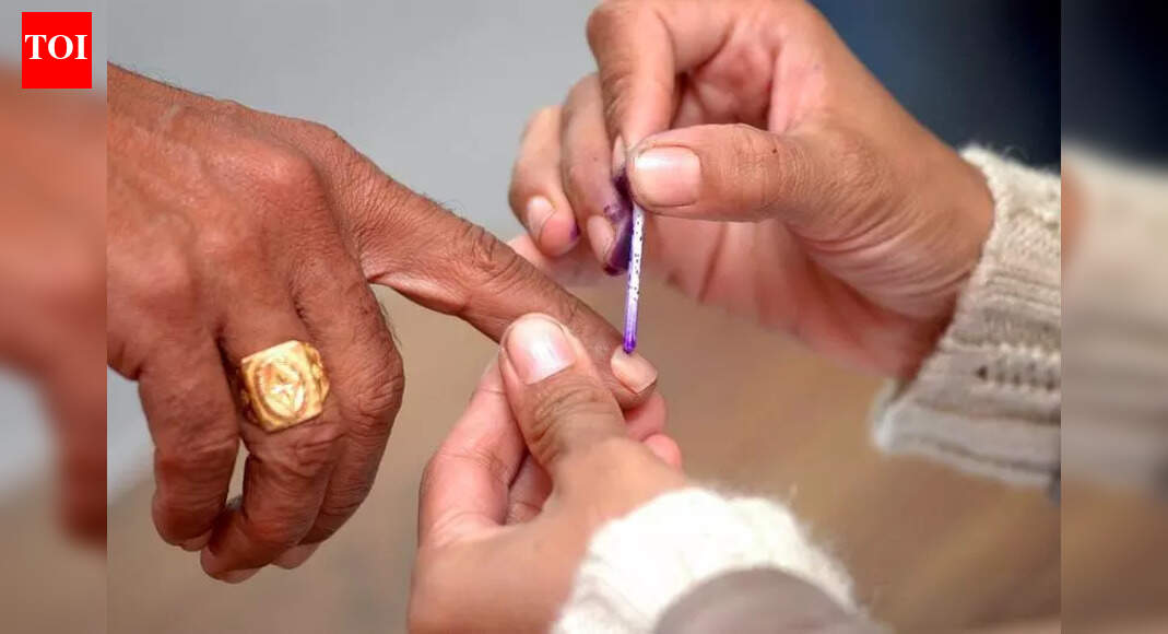 पवारांनी पीएमसी निवडणुकीसाठी राष्ट्रवादीशी युती नाकारली आणि एमव्हीए भागीदारांसोबत जाण्यास अनुकूलता दर्शवली, असे राष्ट्रवादी (एसपी) पुणे विभाग प्रमुख म्हणतात | पुणे बातम्या