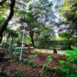 निलंबित सब रजिस्ट्रारची बँक खाते मुंढवा सेल डीड नोंदणीकृत झाले तेव्हा सुमारे 3 टप्प्यांत 48 हजार रुपये ठेव दर्शविते: पोलीस