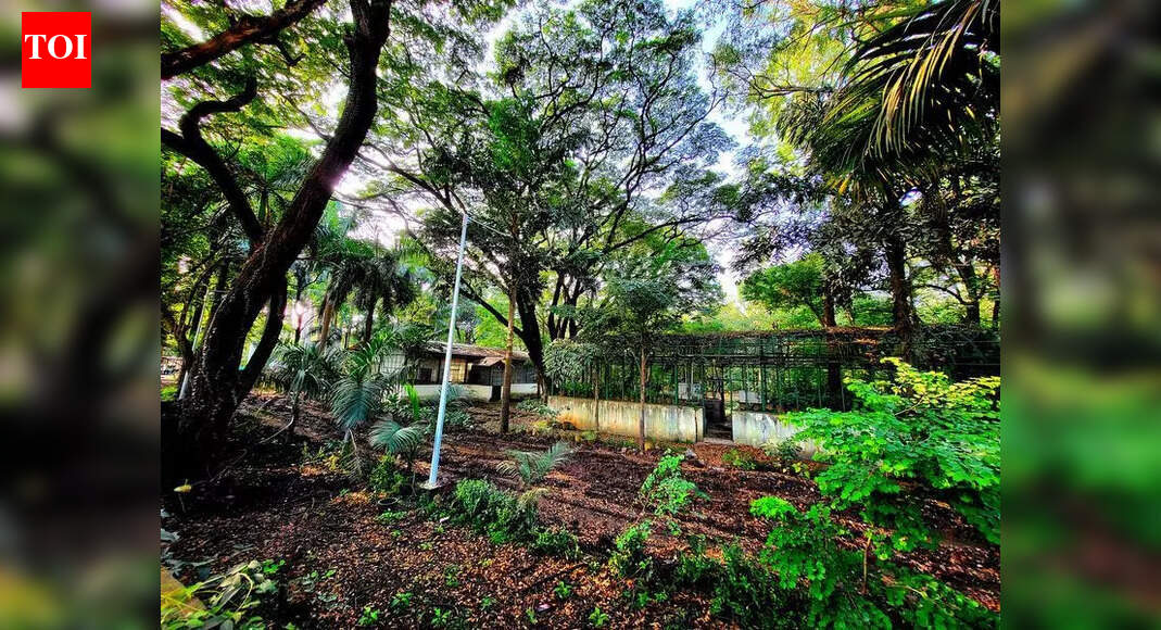 निलंबित सब रजिस्ट्रारची बँक खाते मुंढवा सेल डीड नोंदणीकृत झाले तेव्हा सुमारे 3 टप्प्यांत 48 हजार रुपये ठेव दर्शविते: पोलीस