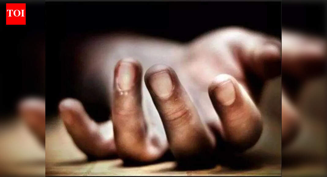 मिनीट्रकच्या अपघातात चुलत भावंडांचा मृत्यू