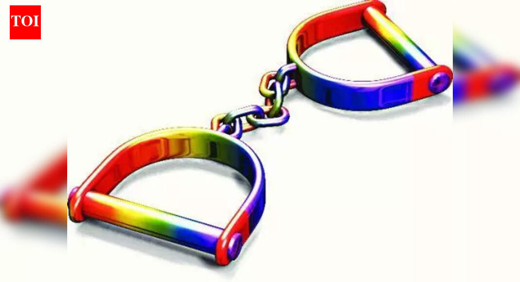 वारजे माळवाडी येथील घरफोडीप्रकरणी तिघांना अटक