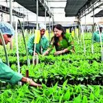 बायोटेक्नॉलॉजी तज्ञाद्वारे महिला आणि शेतकरी सक्षमीकरण | पुणे बातम्या