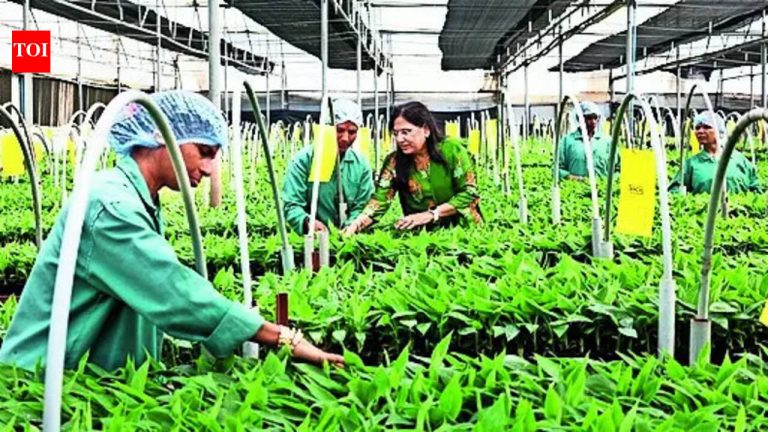 बायोटेक्नॉलॉजी तज्ञाद्वारे महिला आणि शेतकरी सक्षमीकरण | पुणे बातम्या