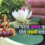 वारं फिरलय कमळ ठरलय…! केंदुर पाबळ जिल्हा परिषद गटात धुमाकूळ विरोधकाचे धाबे दणाणले 