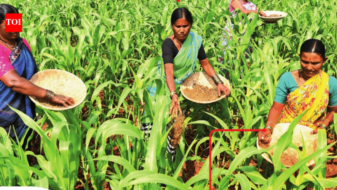 जमिनीचा तुकडा, भाजीपाला आणि बीडच्या महिलांनी केलेली शांत क्रांती