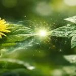 पुण्यातील इजा झाल्यानंतर वनस्पतींच्या पुनरुत्पादनाच्या मार्गाचे नकाशे अभ्यासा