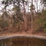 मराठवाडा विभागातील वन्य अभयारण्यांमध्ये शोधलेल्या पाण्याच्या छिद्रांचे पुनर्भरण