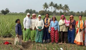 केसनंद कोरेगावमूळ जि प गटात सुरेखाताई हरगुडे यांचा प्रचार थेट शेतात विरोधकांना फुटले घाबरे 