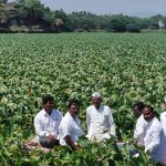 मुळा मुठा नदीत सोडले जाणारे केमिकल युक्त पाणी बंद करणे व जलपर्णी नष्ट करण्यासाठी शेतकऱ्यांचे आमरण उपोषण