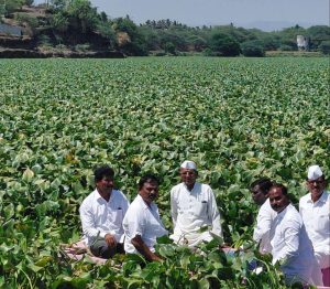 मुळा मुठा नदीत सोडले जाणारे केमिकल युक्त पाणी बंद करणे व जलपर्णी नष्ट करण्यासाठी शेतकऱ्यांचे आमरण उपोषण